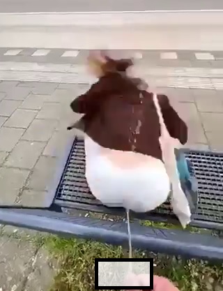 Outrage as man films himself urinating on a lady in a park in France