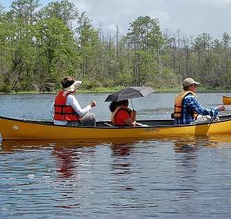 Tragedy in Florida as alligator snatches woman from canoe on lake ...